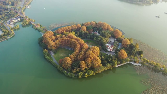 航拍南京玄武湖公园的翠洲岛的秋色视频素材