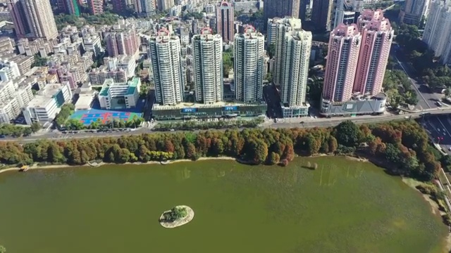 广东省深圳市罗湖区洪湖公园航拍视频素材