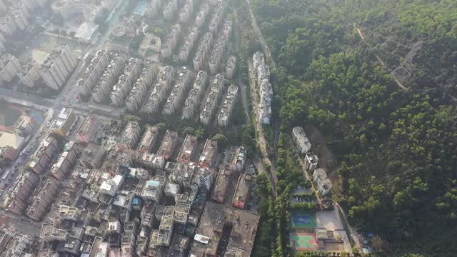 广东省深圳市罗湖区莲塘和仙湖植物园航拍视频素材