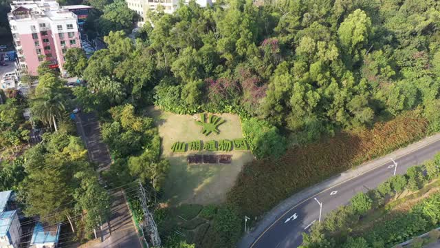 广东省深圳市罗湖区莲塘和仙湖植物园航拍视频素材