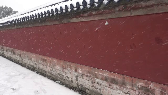 冬天的雪视频素材