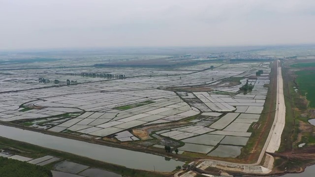 航拍黑龙江省大庆市杜尔伯特蒙古族自治县春季新播种的水稻田视频素材