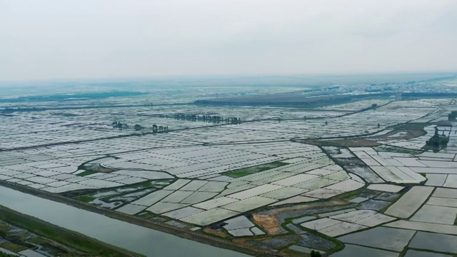 航拍黑龙江省大庆市杜尔伯特蒙古族自治县春季新播种的水稻田视频素材