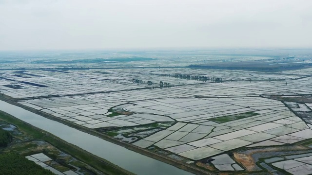 航拍黑龙江省大庆市杜尔伯特蒙古族自治县春季新播种的水稻田视频素材