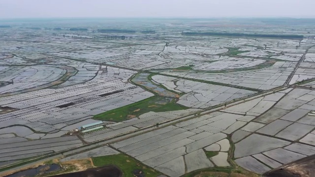 航拍黑龙江省大庆市杜尔伯特蒙古族自治县春季新播种的水稻田视频素材