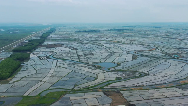 航拍黑龙江省大庆市杜尔伯特蒙古族自治县春季新播种的水稻田视频素材