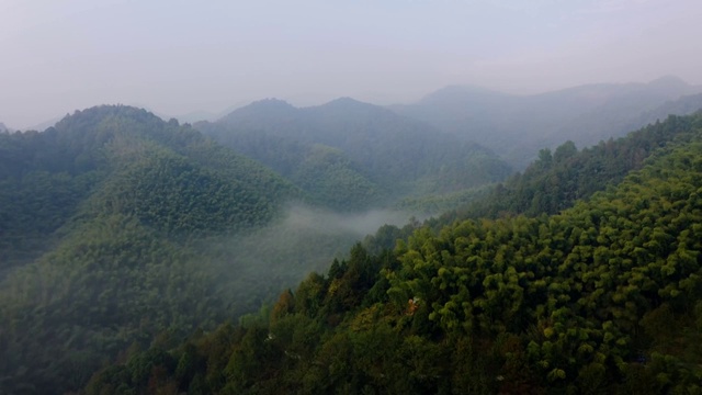 清晨晨雾山林山峰大山视频素材