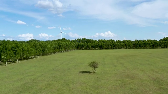 航拍黑龙江省大庆市杜尔伯特蒙古族自治区草原风车树林视频素材