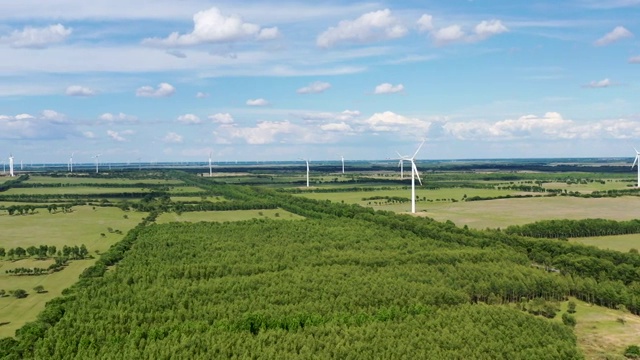 航拍黑龙江省大庆市杜尔伯特蒙古族自治区草原风车树林视频素材