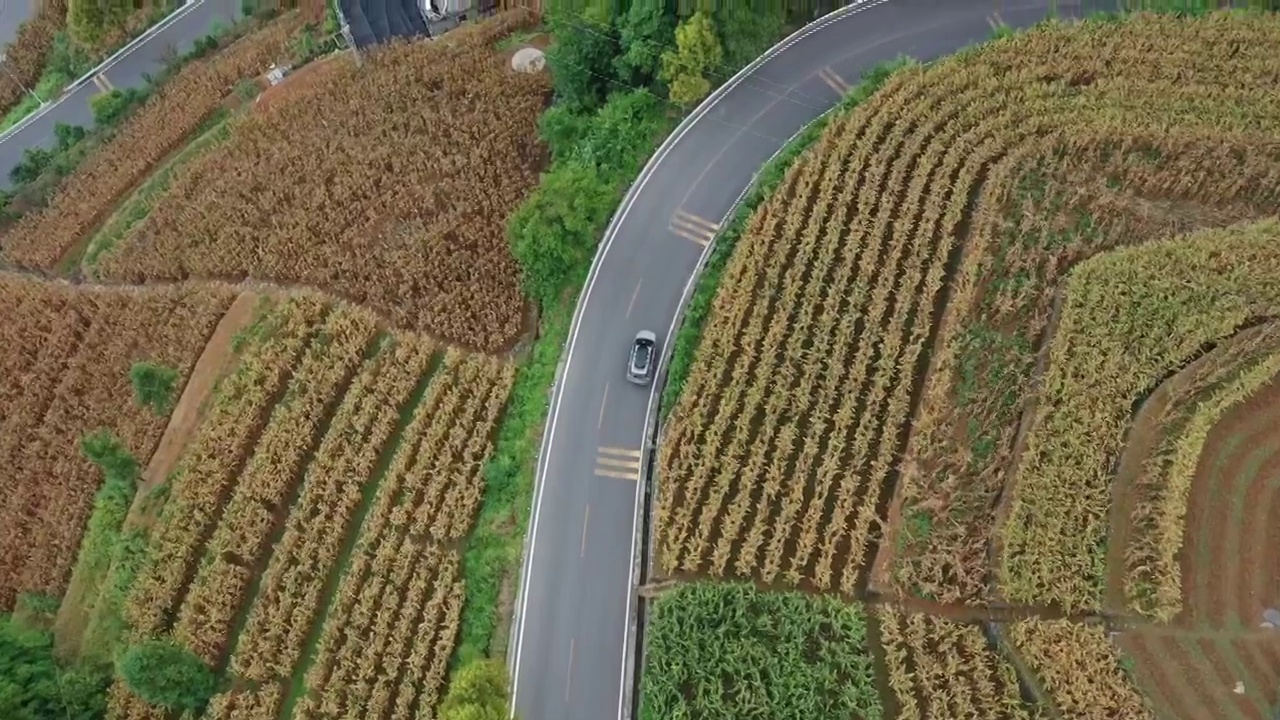 湖北宜昌市长阳县乡村农田公路自驾旅行风光视频素材