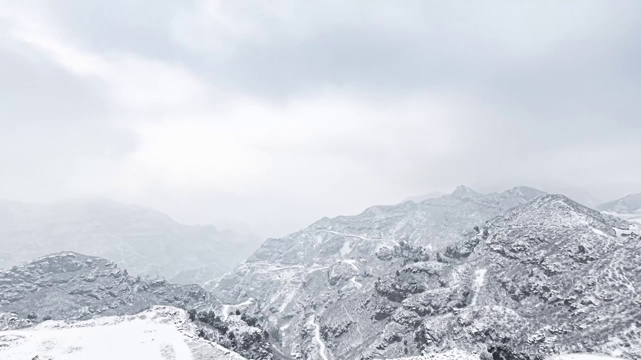 风雪白叶角视频素材