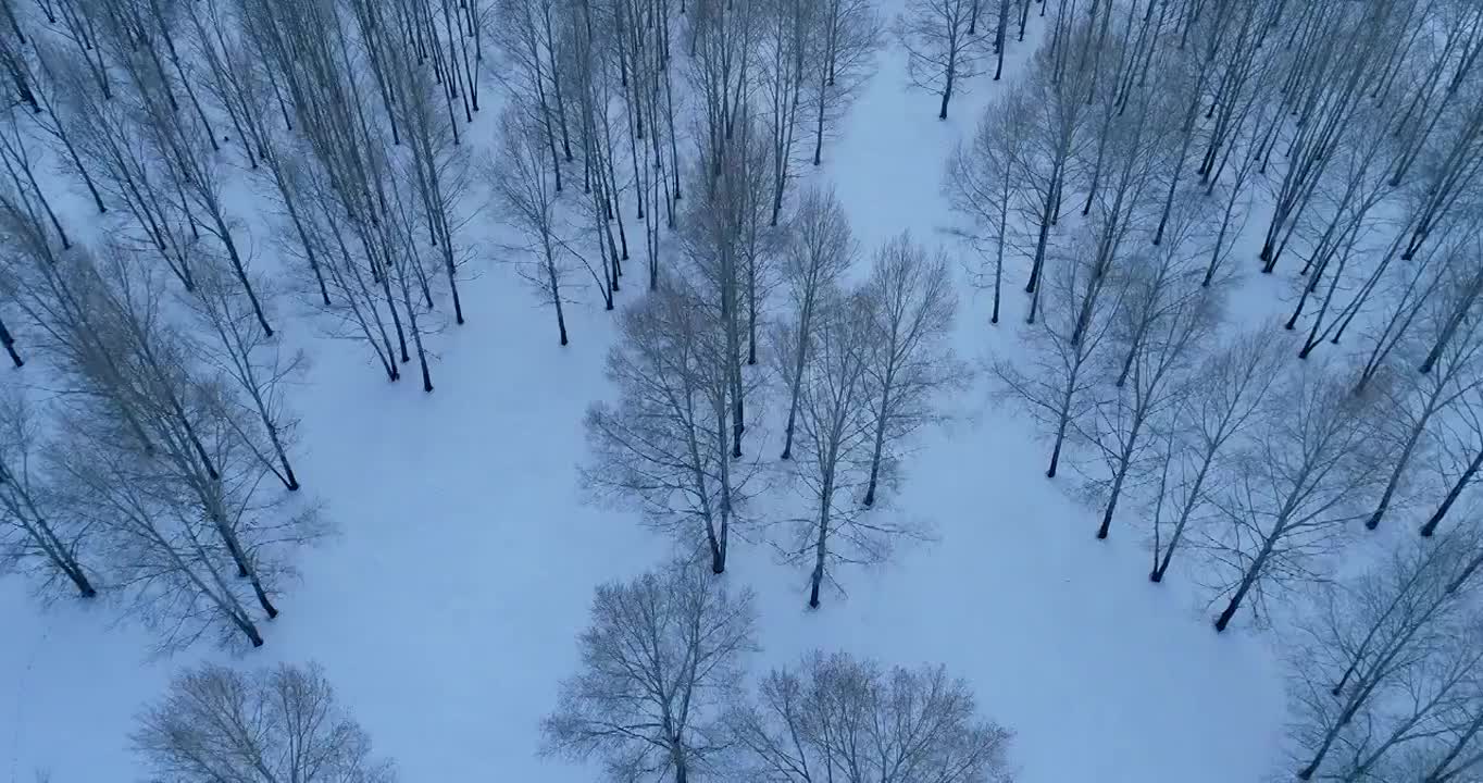 航拍林海雪原树林雪景视频素材