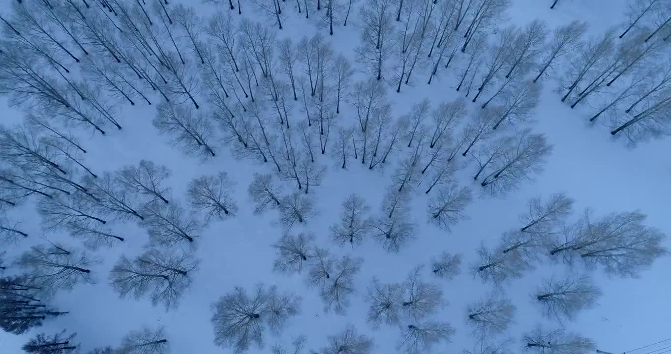 航拍林海雪原树林雪景视频素材