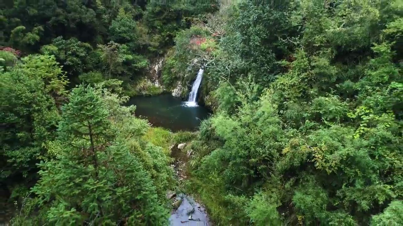 航拍森林秘境瀑布丛林溪流徒步旅行树海瀑布视频素材