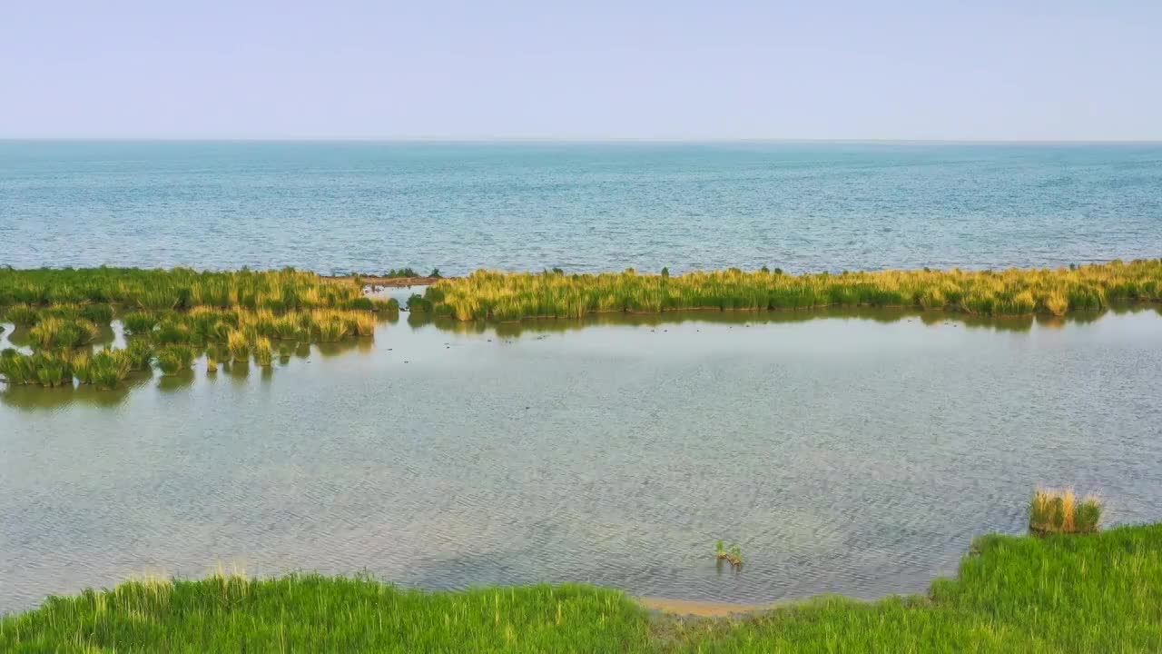 青海海西德令哈可鲁克湖-托素湖风光视频素材