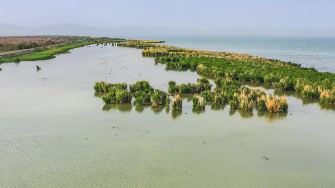 青海海西德令哈可鲁克湖-托素湖风光视频素材