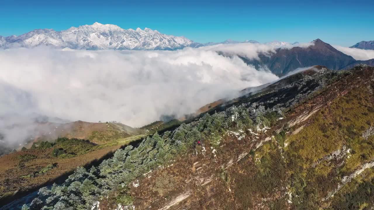 川西白海子山云海风光视频素材