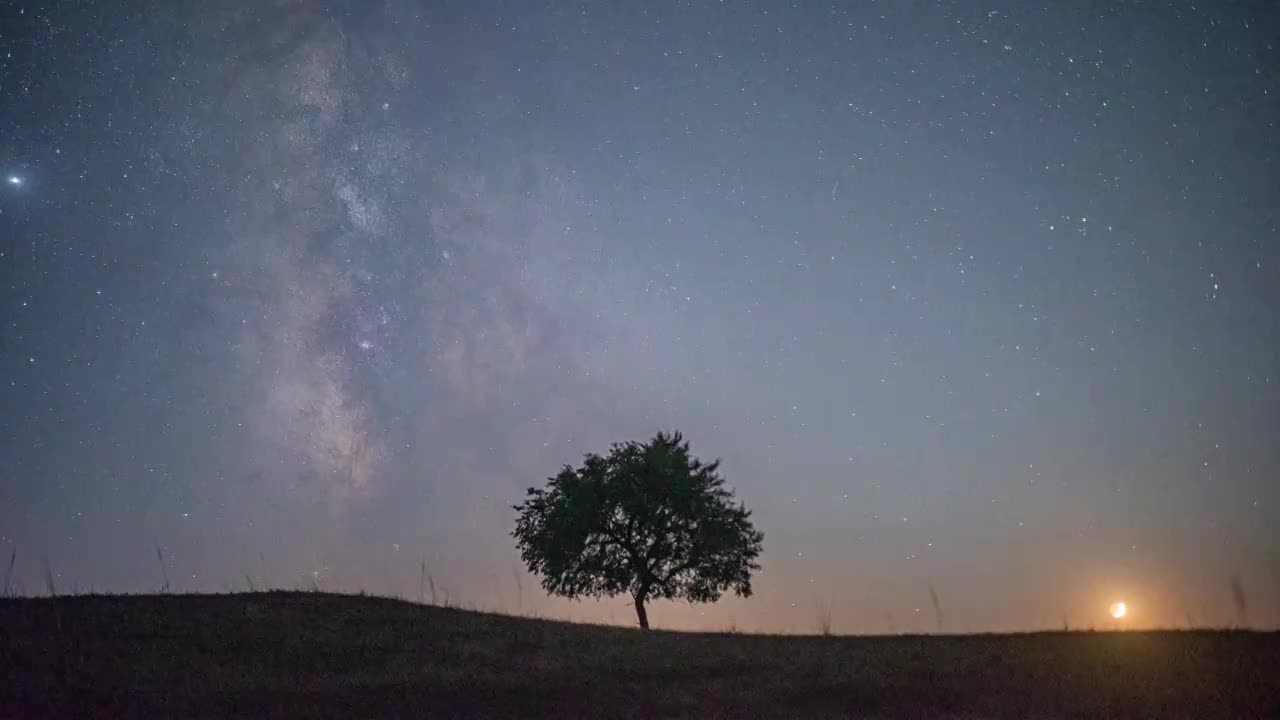 流星下的许愿树视频素材