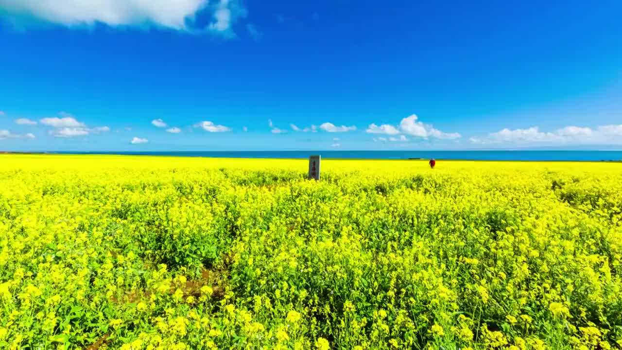 青海湖视频素材