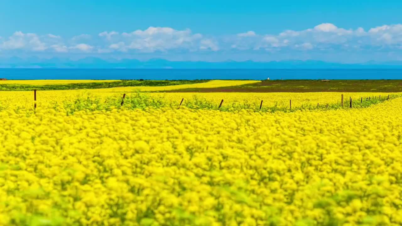 青海湖视频素材