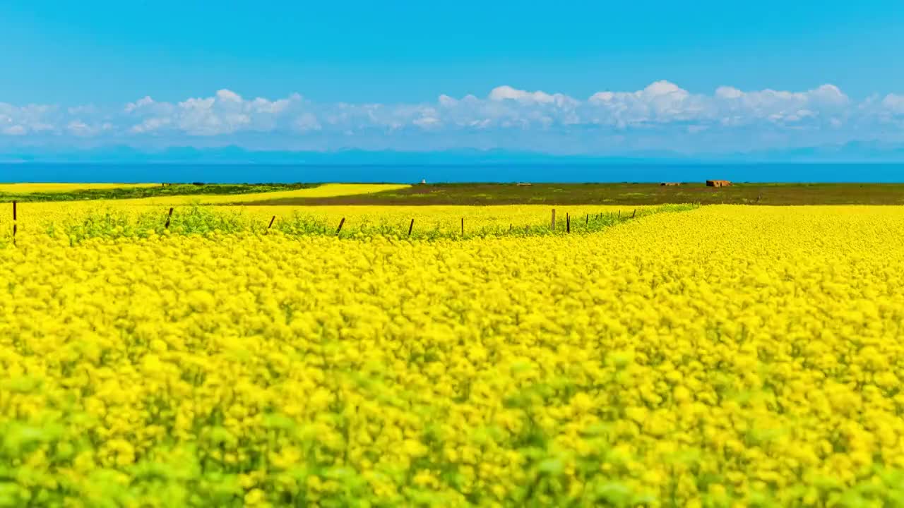 青海湖视频素材