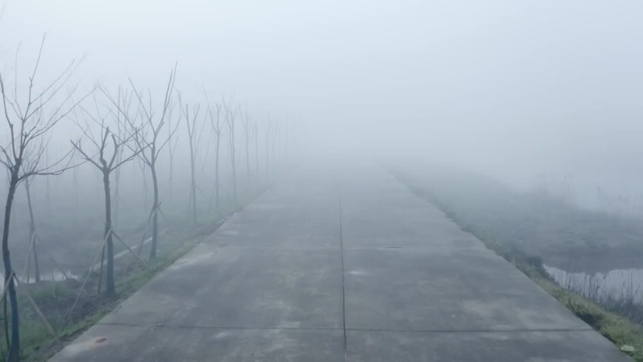 迷雾中的乡村道路视频素材