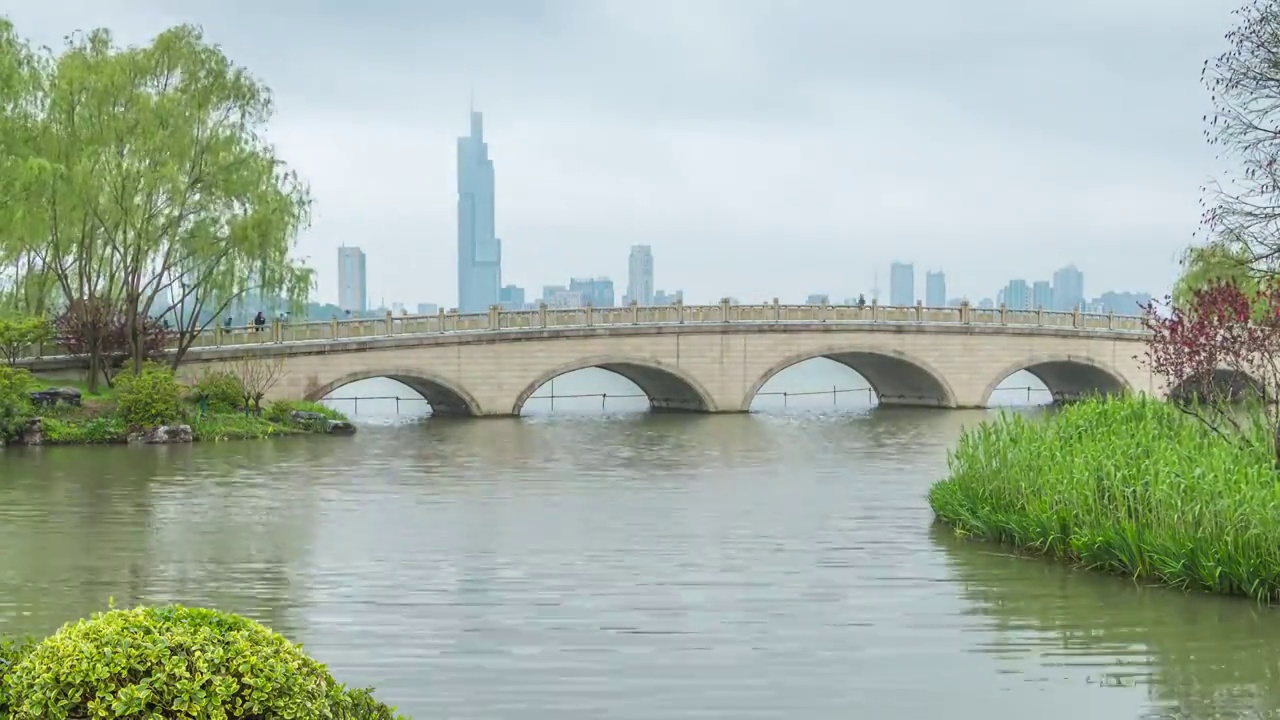 中国南京玄武湖情侣园远眺紫峰视频素材