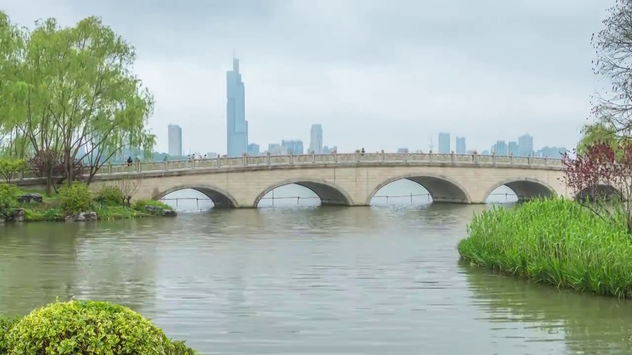 中国南京玄武湖情侣园远眺紫峰视频素材