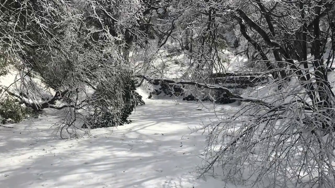 黄山雪景视频素材