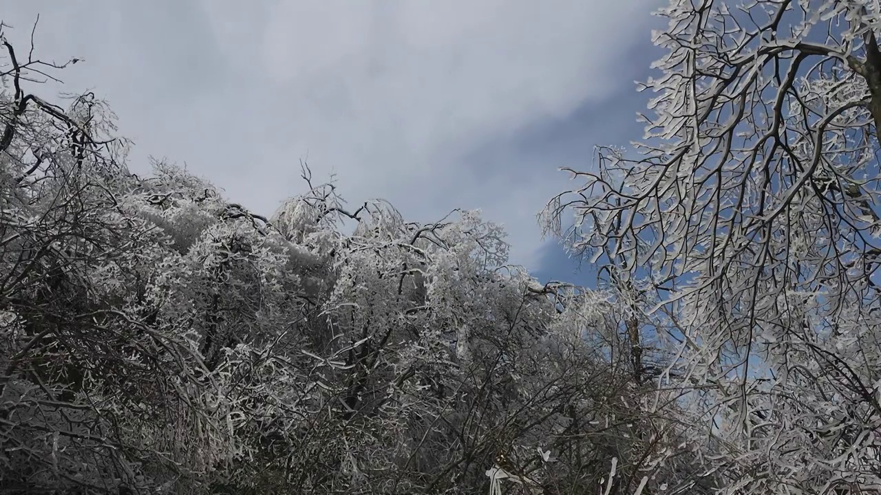 黄山冰挂视频素材