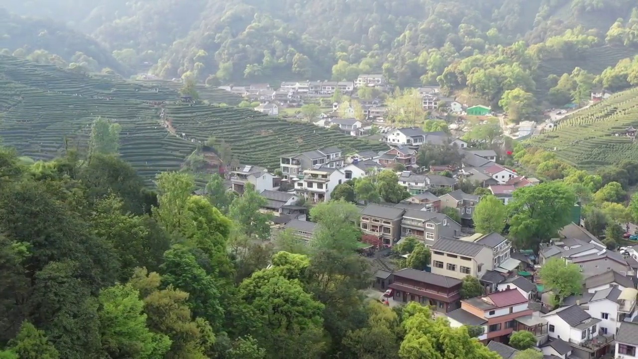 杭州西湖龙井采茶视频素材