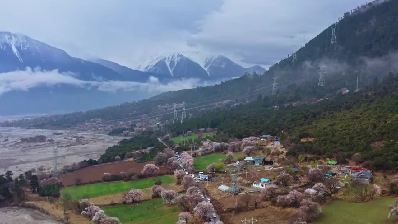 林芝波密桃花沟风景视频素材