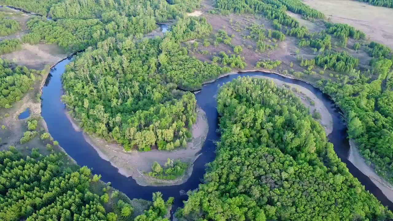 航拍呼伦贝尔林区绿色林海河流视频素材