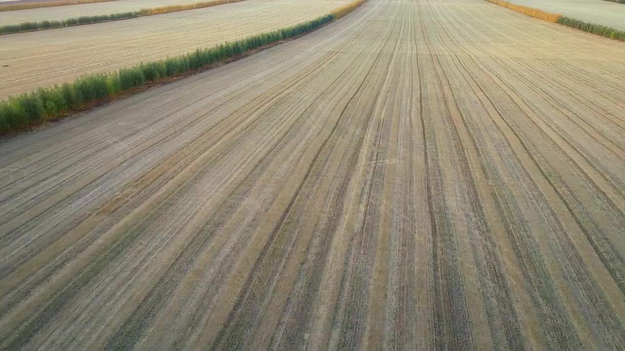 航拍呼伦贝尔秋季田野视频素材