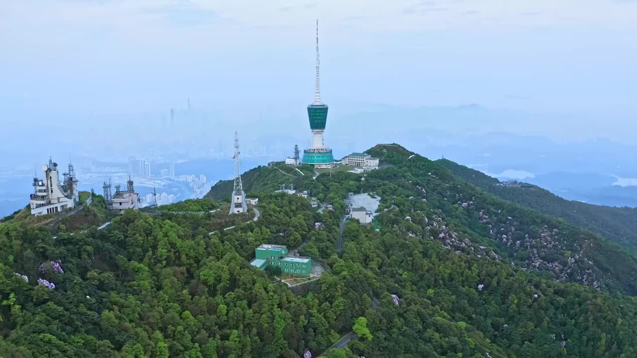 深圳梧桐山视频素材