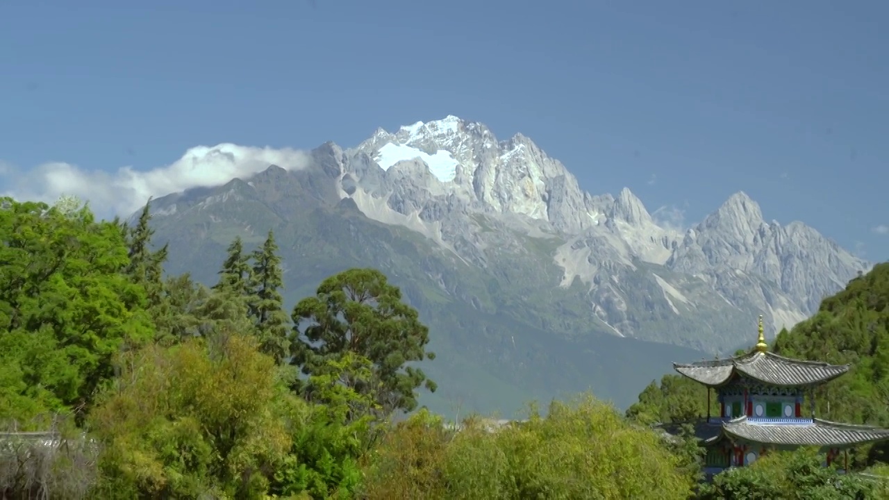 黑龙潭雪山推远鲜花视频素材