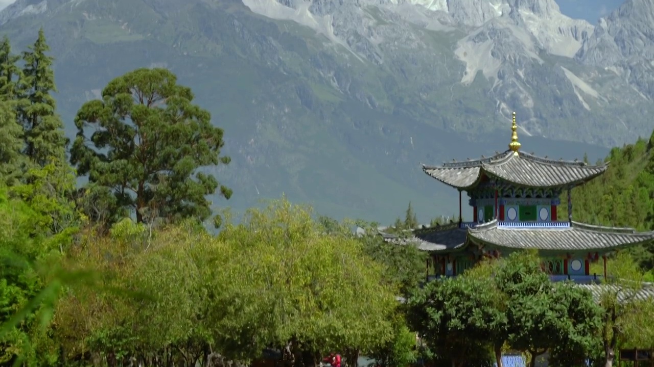 黑龙潭鲜花上摇到雪山树梢视频素材