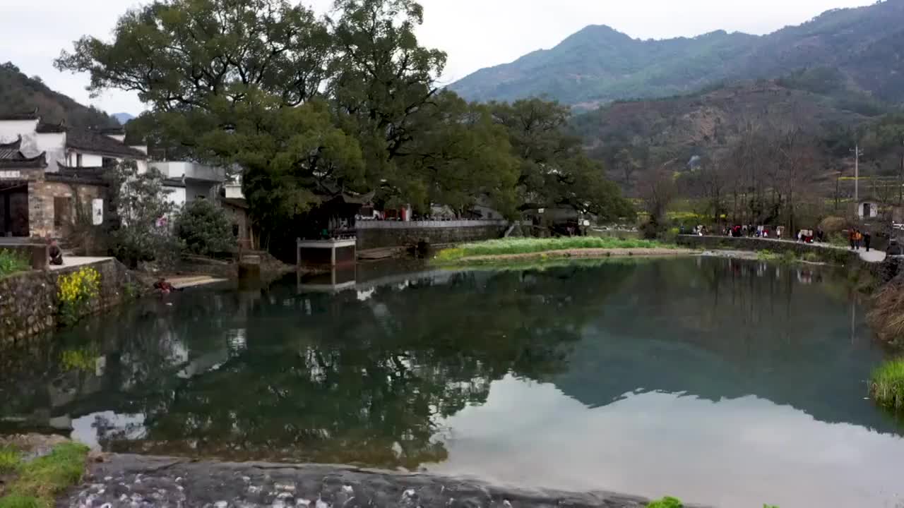 婺源虹村桃花流水风光4K航拍视频素材