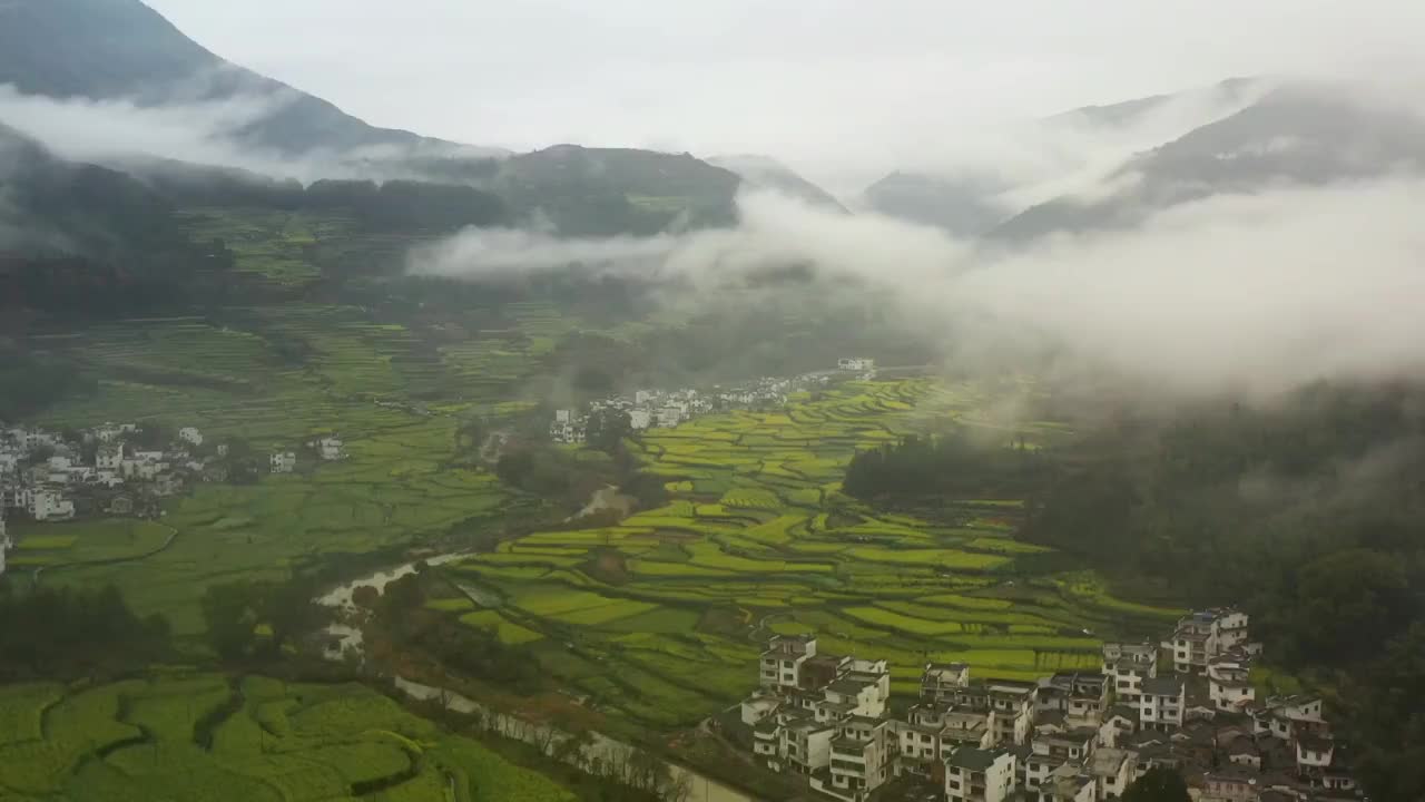 婺源徽派建筑油菜花海4K航拍视频素材