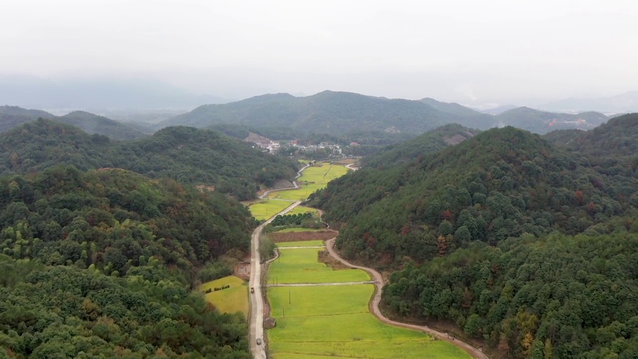 义乌佛堂石门坑村秋季金色稻田风光HD航拍视频素材