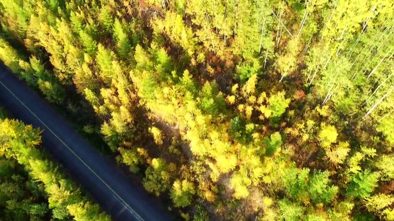 航拍大兴安岭秋季山林彩林公路视频素材