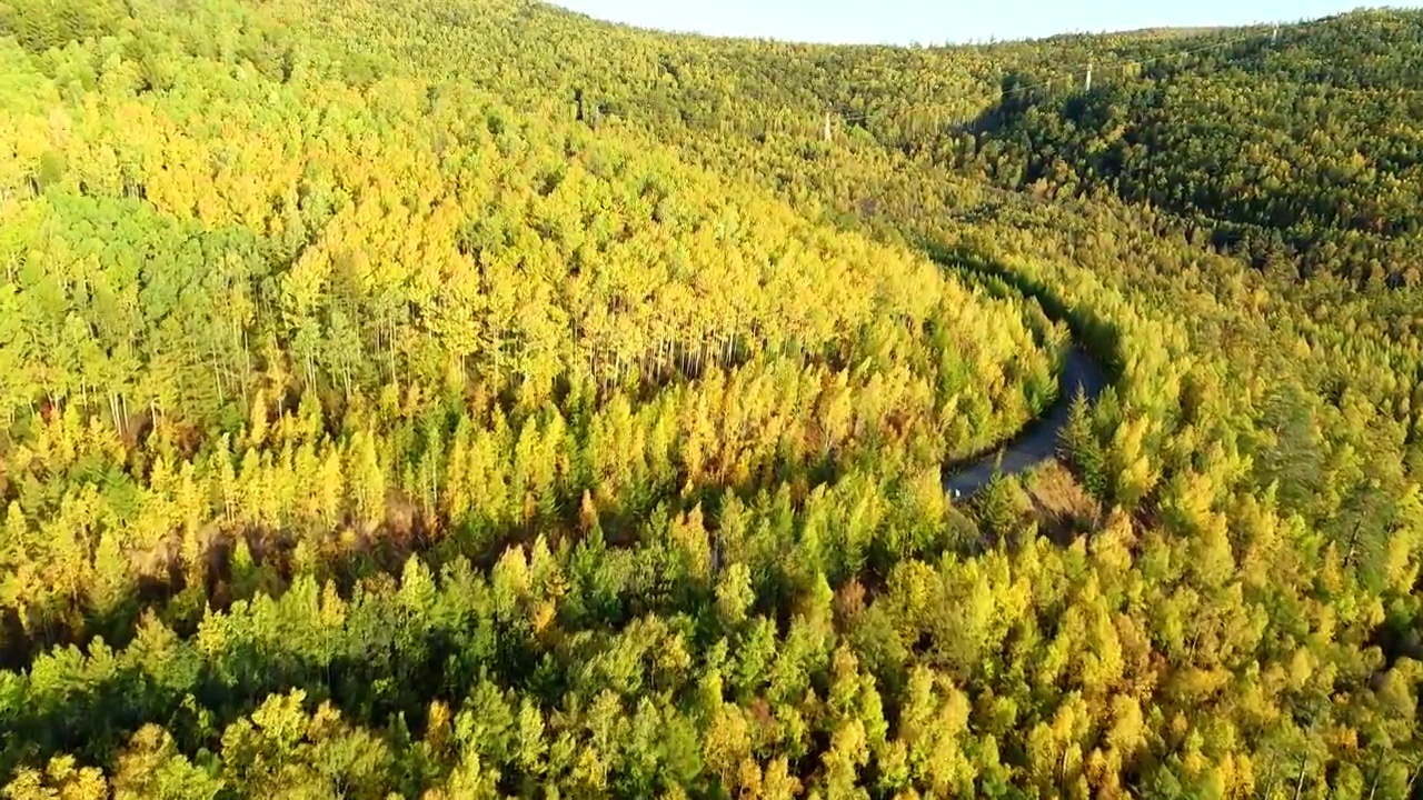 航拍大兴安岭秋季山林彩林公路视频素材