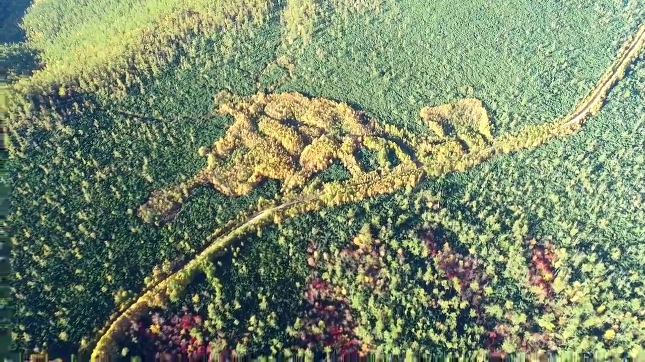 航拍大兴安岭秋季五彩林山路视频素材