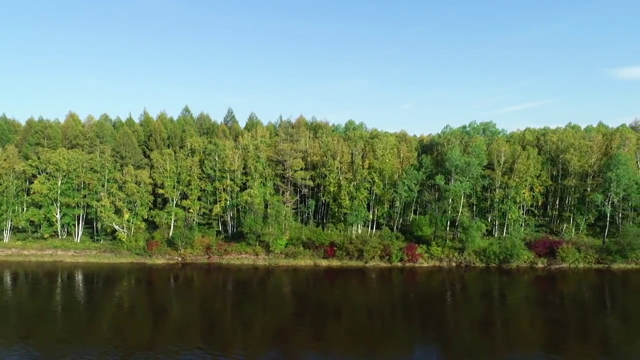 航拍大兴安岭安格林河茂密树林风景视频素材