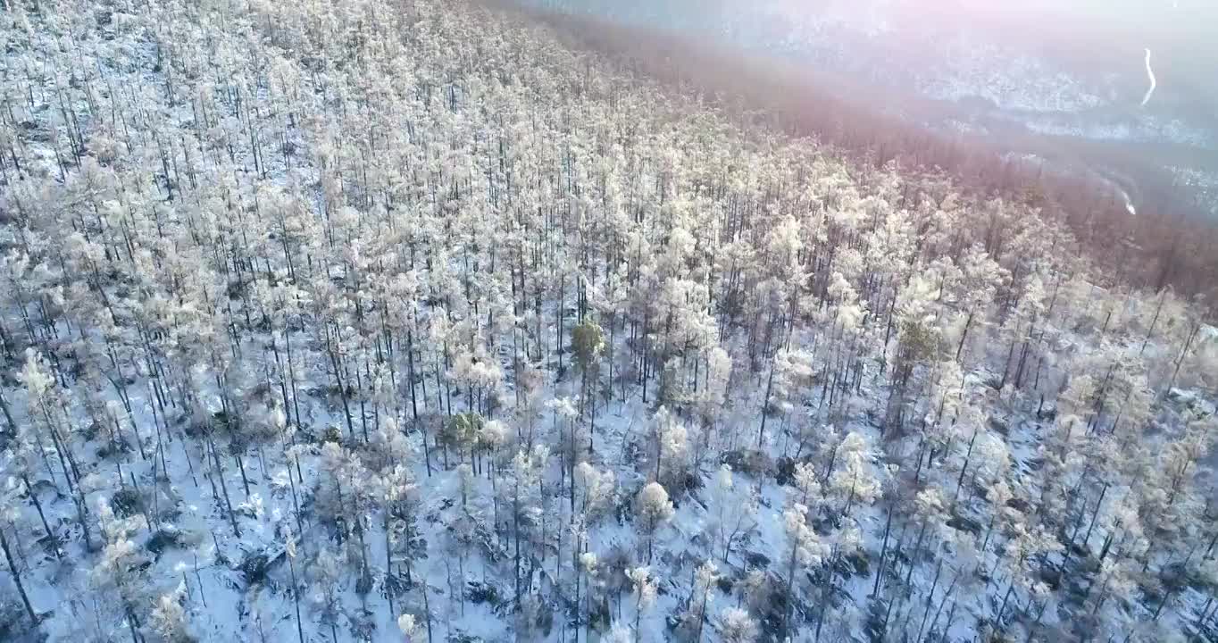 航拍大兴安岭冬季雪色山林雾凇夕照视频素材