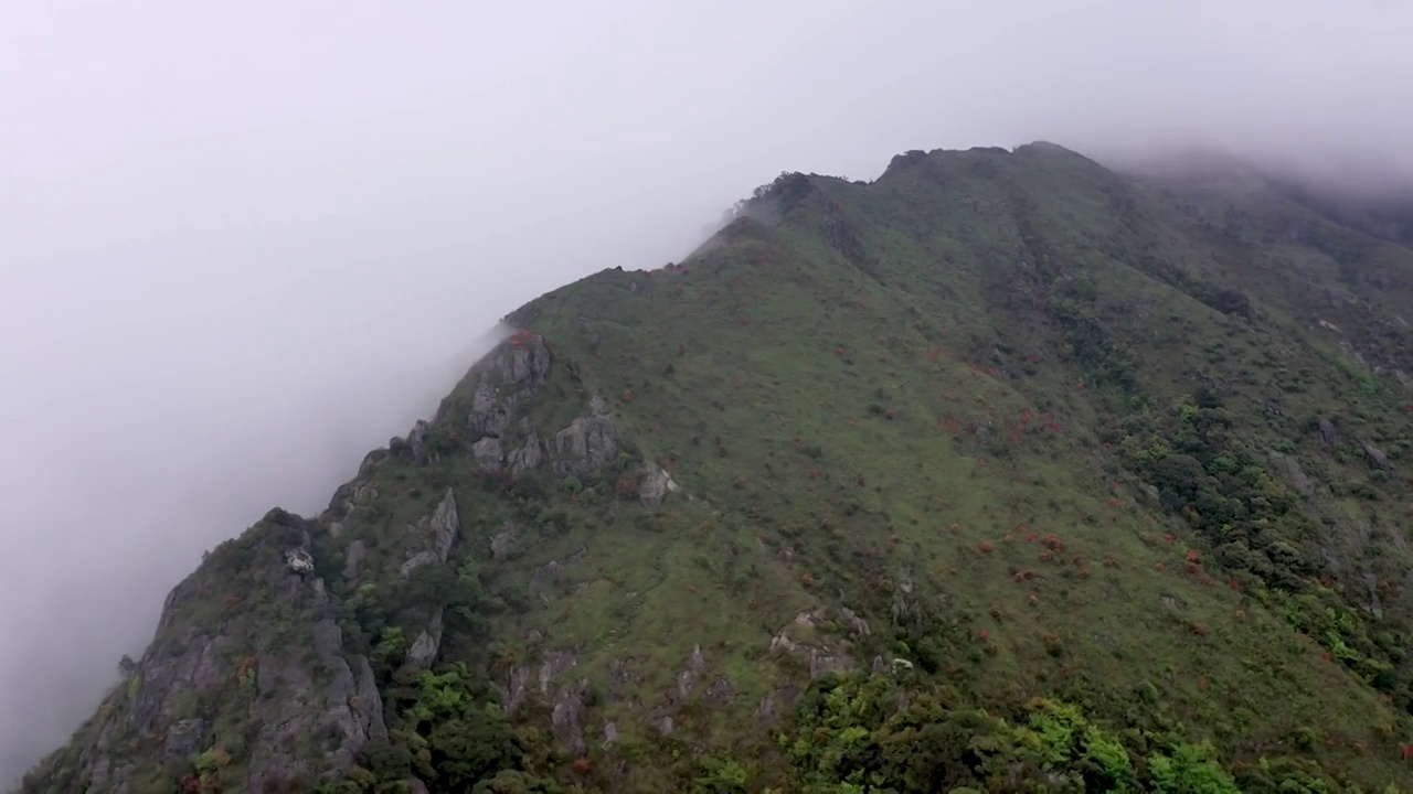 航拍韶关狗尾嶂山脊云海视频素材