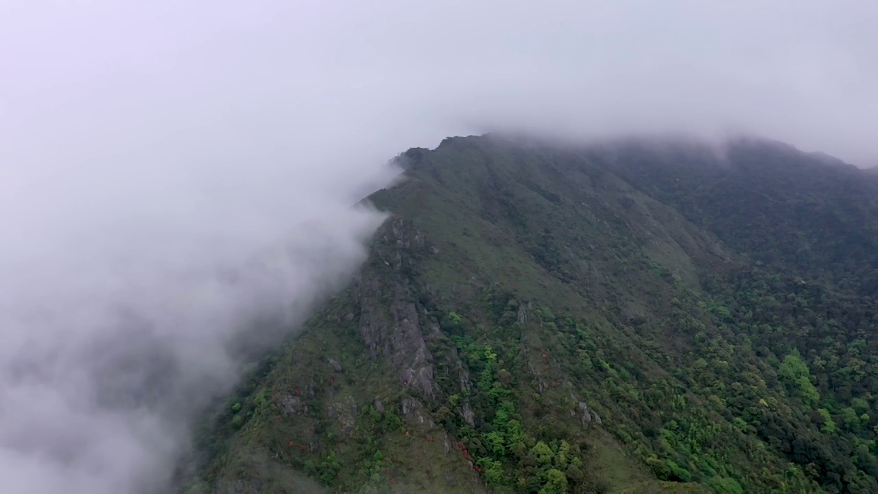 狗尾嶂山脊云海视频素材