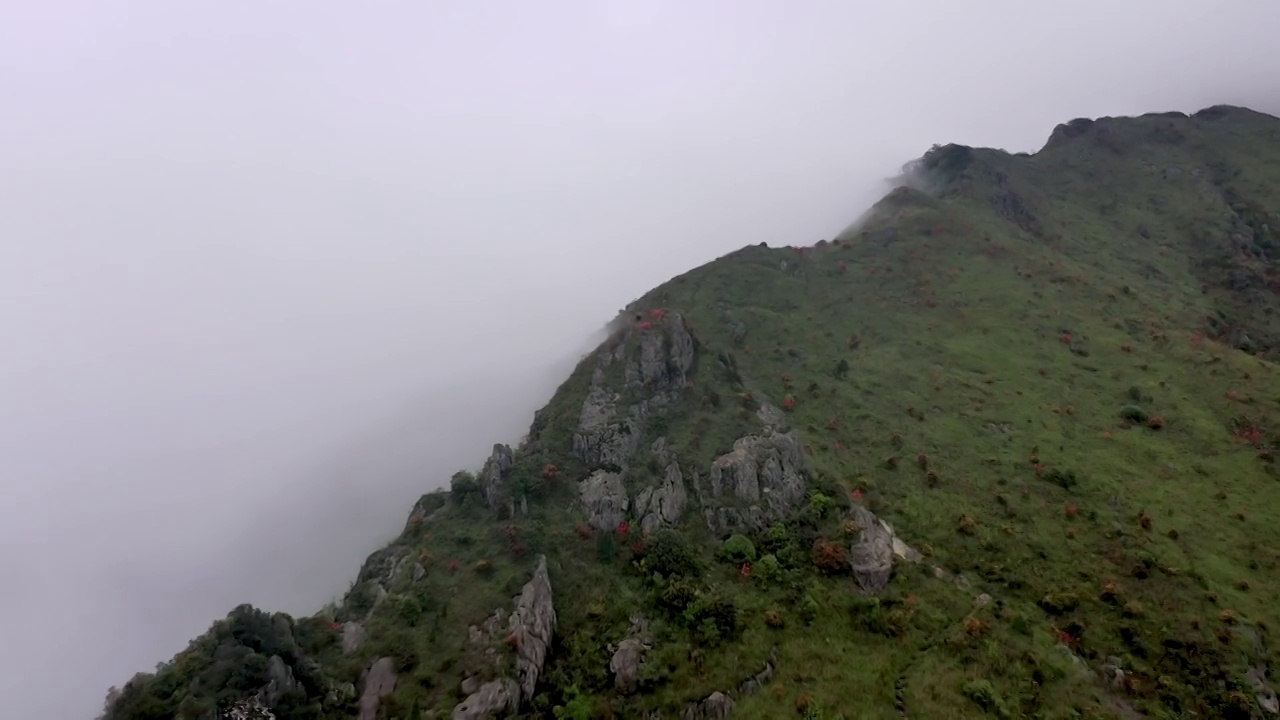 广东韶关狗尾嶂山脊云海视频素材