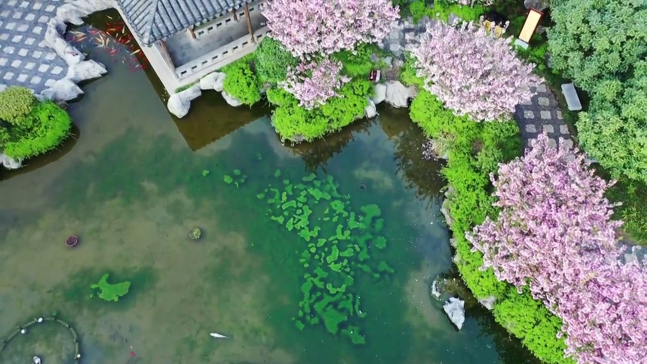 江苏南京江宁织造博物馆的园林建筑景观设计视频素材