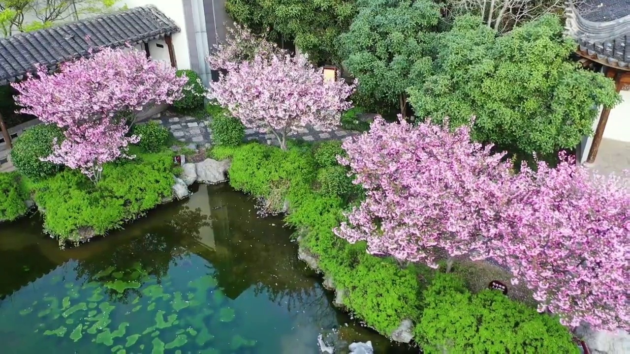 江苏南京江宁织造博物馆的园林建筑景观设计视频素材